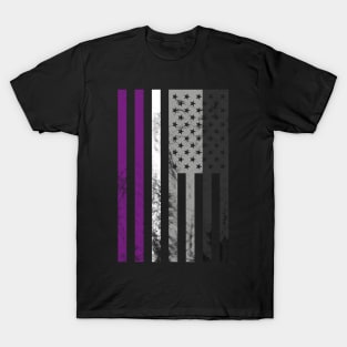 Asexual usa flag T-Shirt